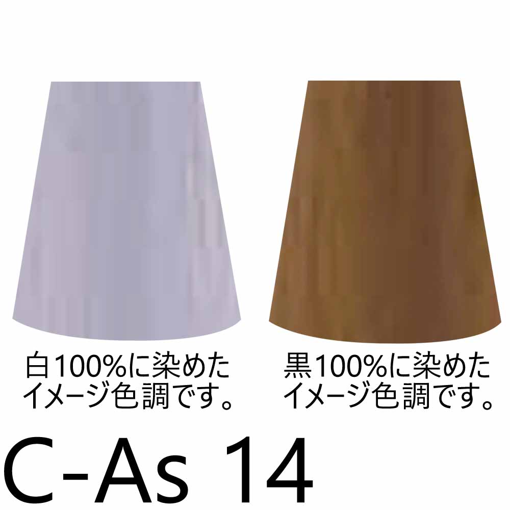ナプラ HB ケアテクトカラー 第1剤 ファッションシェード （As アッシュ） / 80g | CARETECT HB | 05