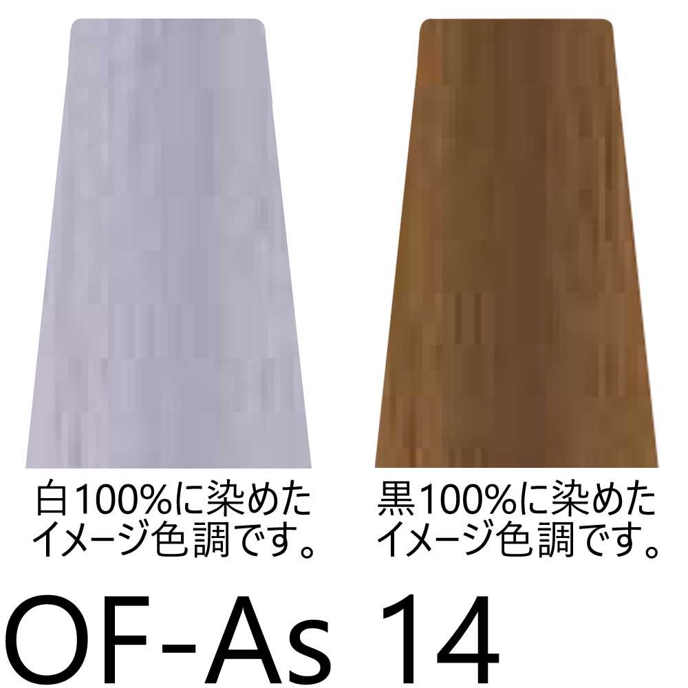 ナプラ ケアテクト OGカラー 第1剤 ファッションシェード （As アッシュ） / 80g | CARETECT OG | 05