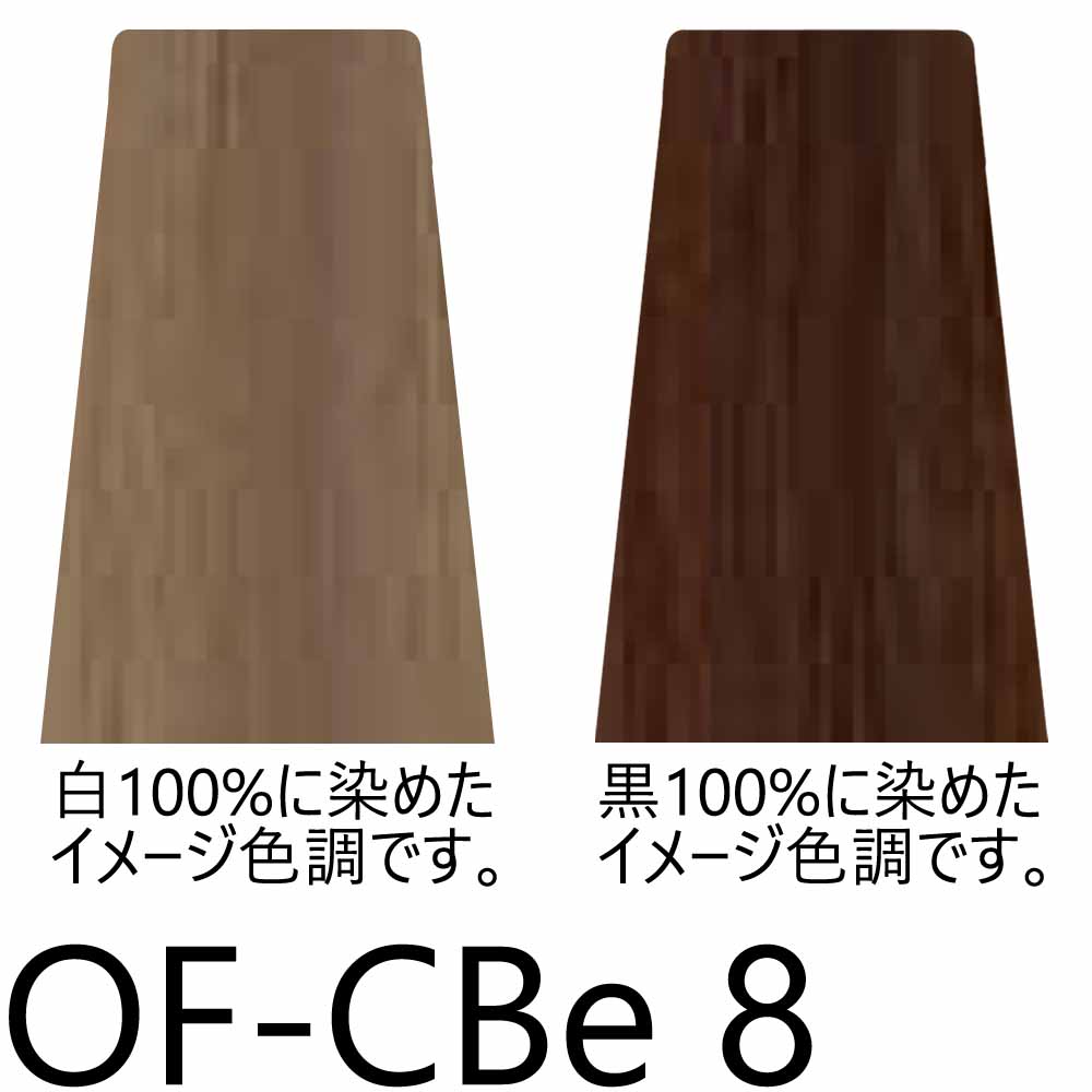 ナプラ ケアテクト OGカラー 第1剤 ファッションシェード （CBe シナモンベージュ） / 80g | CARETECT OG | 01