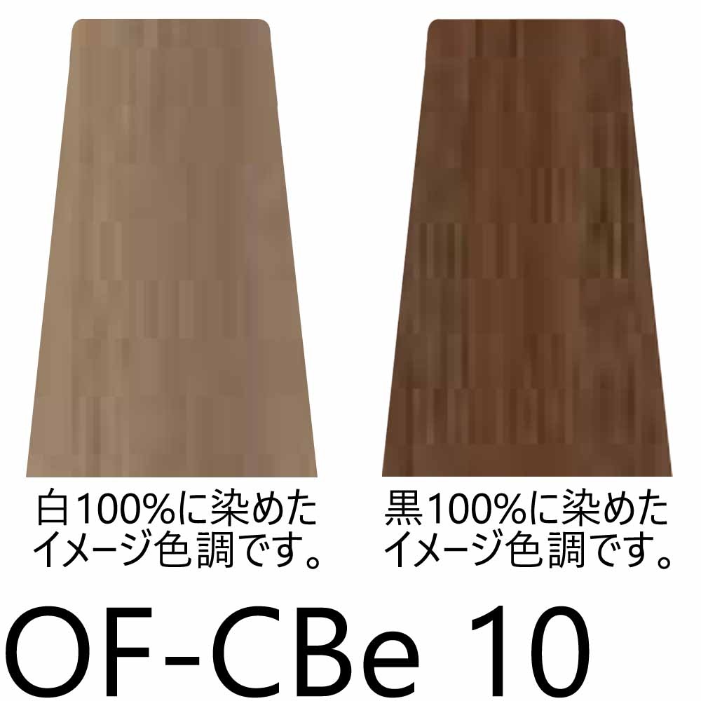 ナプラ ケアテクト OGカラー 第1剤 ファッションシェード （CBe シナモンベージュ） / 80g | CARETECT OG | 02