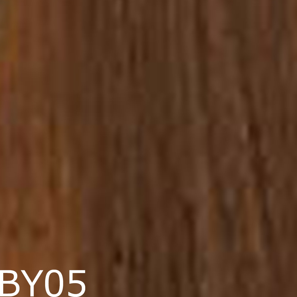 サンコール レアラ カラー  第1剤 イエローブラウン BY 80g ヘアカラー プロ用 染毛剤 サロン業務用 美容師 suncall | SUNCALL | 03