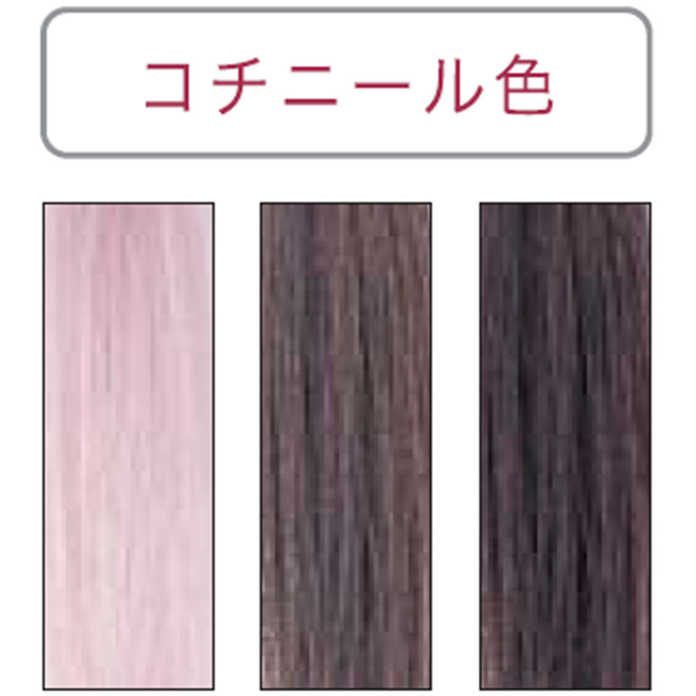 リアル ボタニカルカラー 草木染め 染毛料 100g 紅 すおう コチニール キハダ うこん エンジュ アカミノキ REAL BOTANICAL COLOR | REAL | 03
