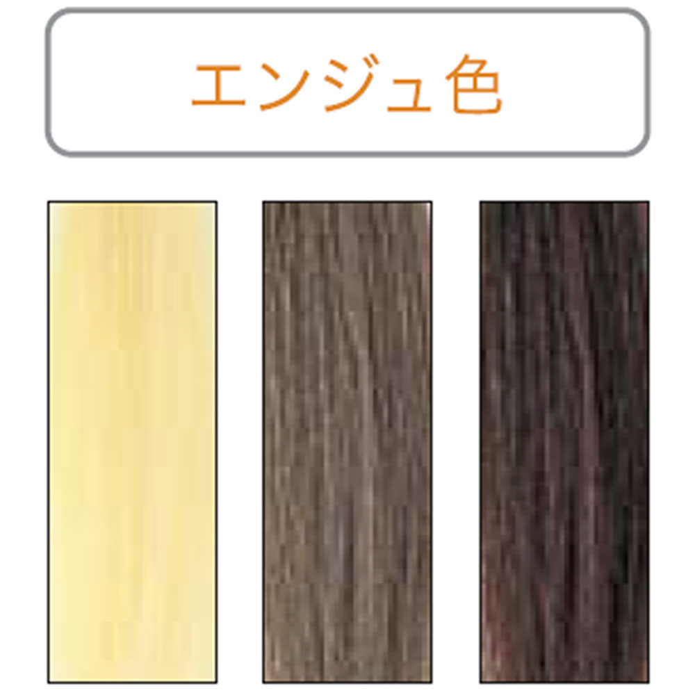 REAL リアル ボタニカルカラー 草木染め 染毛料 100g 紅 すおう