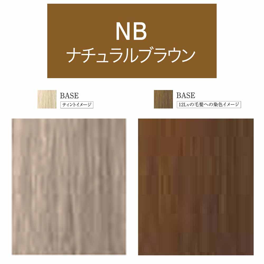 リアル化学 メイリーLu ピグメントカラー 第1剤 / 90g | MEiRY | 01