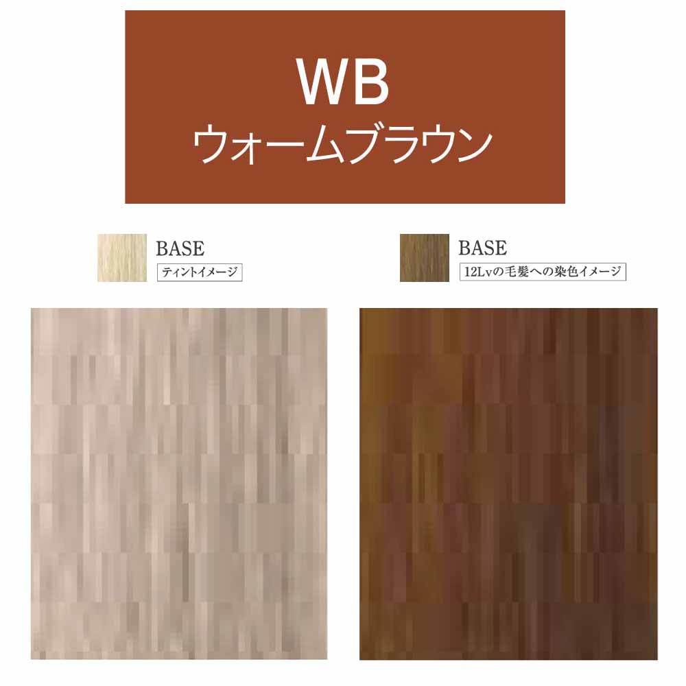 リアル化学 メイリーLu ピグメントカラー 第1剤 / 90g | MEiRY | 02