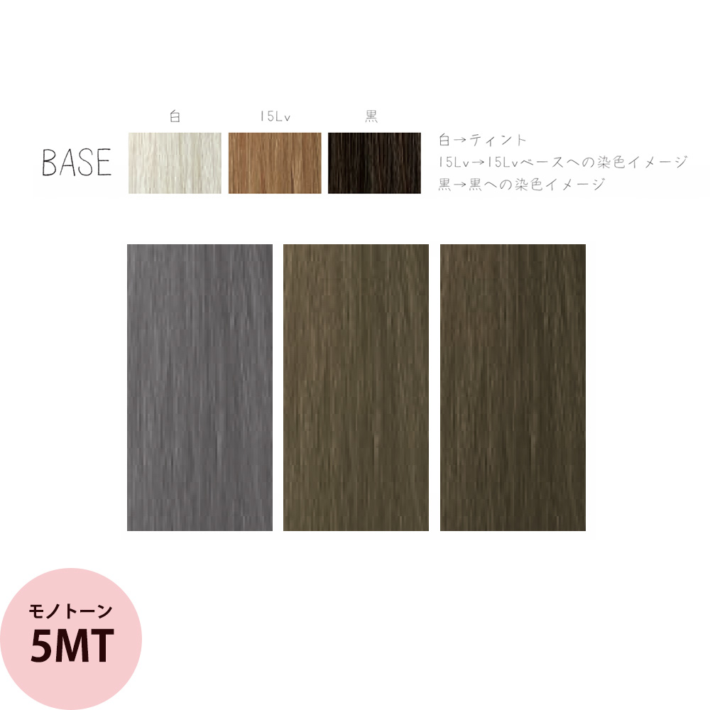 リアル化学 メイリー クロス (MT モノトーン） 第1剤 90g ヘアカラー カラー剤 サロン専売品 業務用 アルカリ性カラー おしゃれ染め | MEiRY | 01