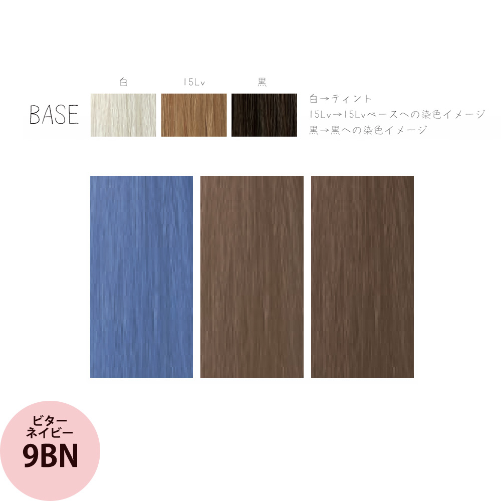 リアル化学 メイリー クロス (BN ビターネイビー） 第1剤 90g ヘアカラー カラー剤 サロン専売品 業務用 アルカリ性カラー おしゃれ染め :  37197 : プロ用ヘアコスメnetsbee - 通販 - Yahoo!ショッピング