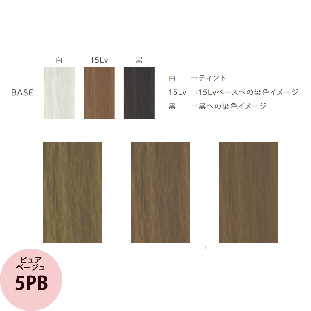 リアル化学 メイリー クロス ベージュ (PB ピュアベージュ） 第1剤 90g ヘアカラー カラー剤 サロン専売品 業務用 アルカリ性カラー おしゃれ染め | MEiRY | 01