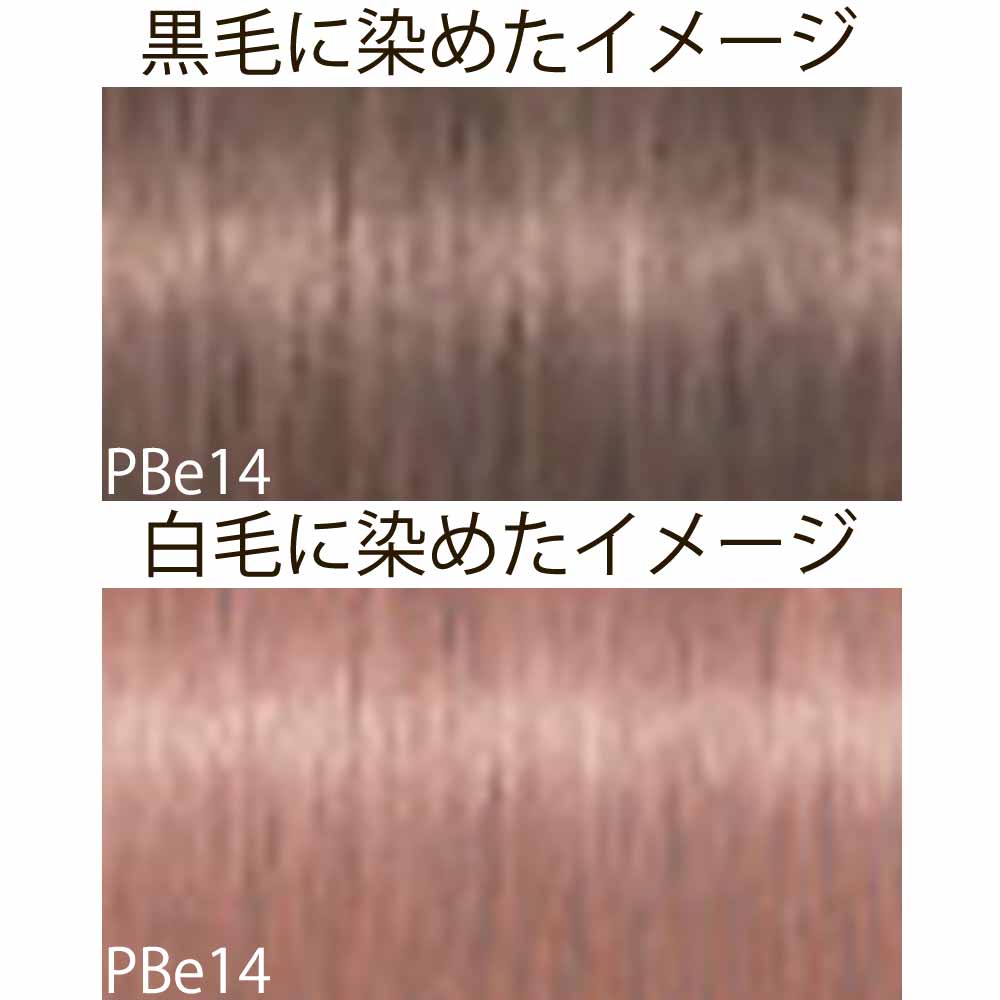 シュワルツコフ イゴラ ロイヤル ピクサム-F ベージュシェード PBe ピーチベージュ 第1剤 / 80g | IGORA ROYAL | 04