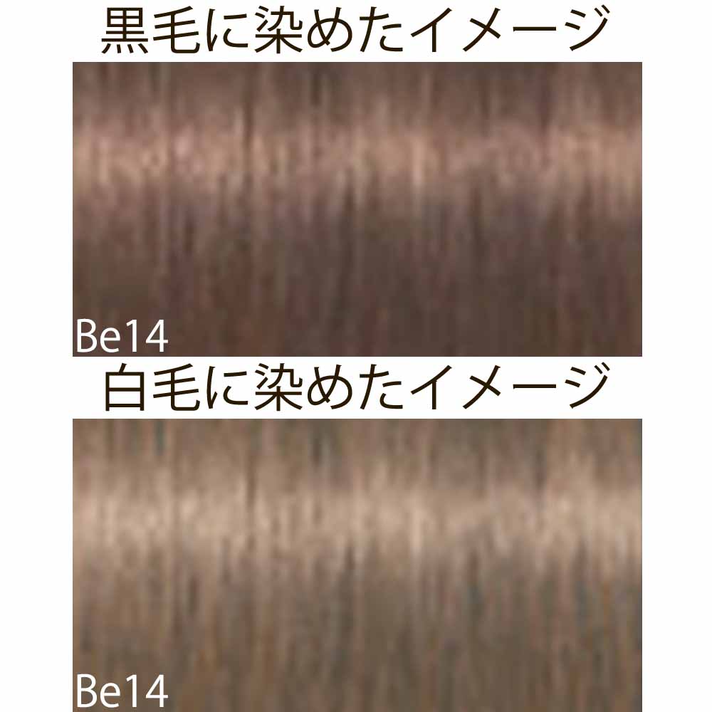 シュワルツコフ イゴラ ロイヤル ピクサム-F ベージュシェード Be ベージュ 第1剤 / 80g | IGORA ROYAL | 05