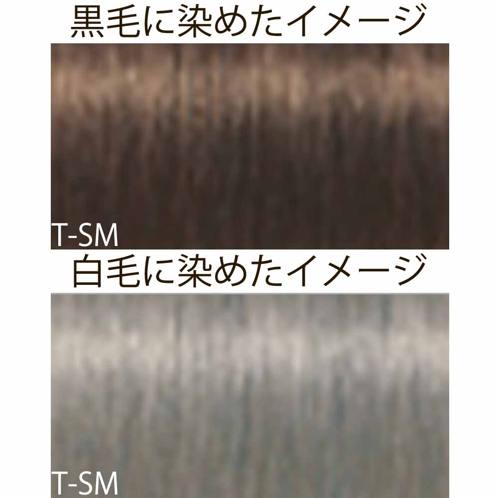 シュワルツコフ イゴラ ロイヤル ピクサム-F トリートメントシェード（微アルカリ） 第1剤 / 80g | IGORA ROYAL | 02