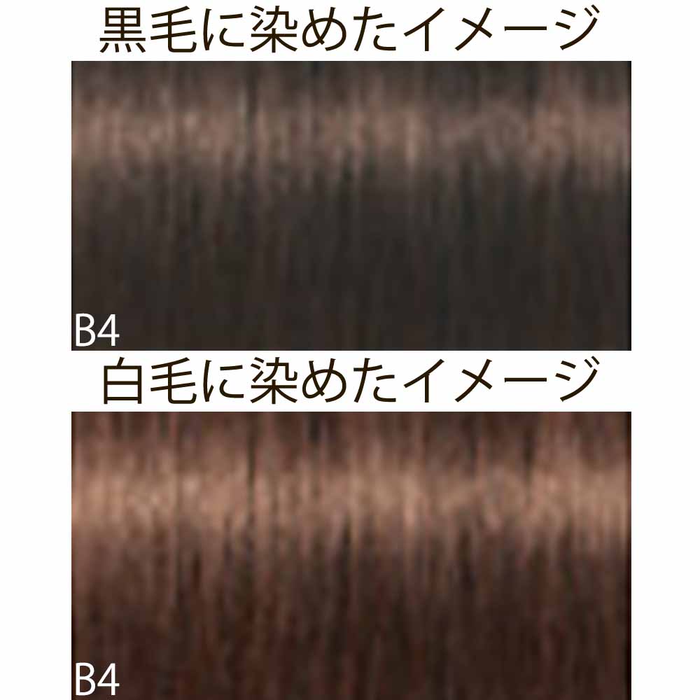 シュワルツコフ イゴラ ロイヤル ピクサム-F ブラウンと色味系シェード B ブラウン 第1剤 / 80g | IGORA ROYAL | 01