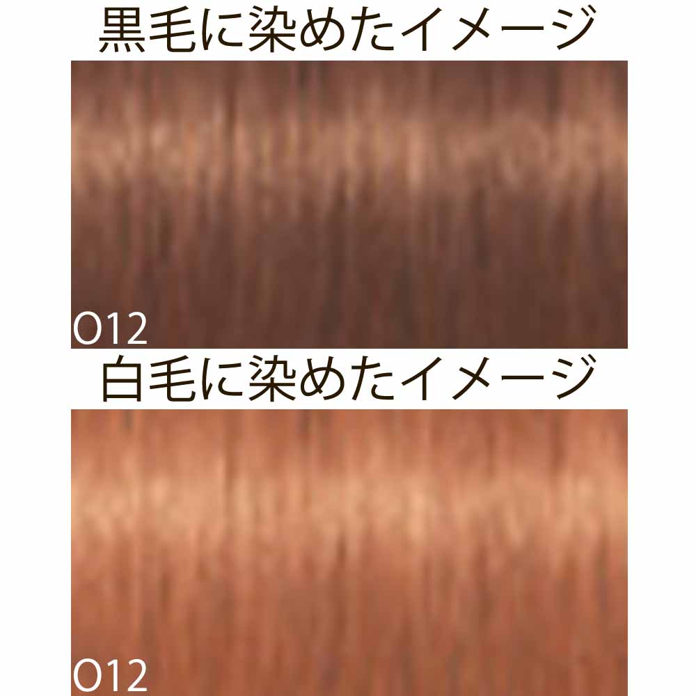 キング　カラー剤　　ロイヤルピクサム IGORA  48本　① イゴラ ロイヤル ピクサム-Gカラーチャート