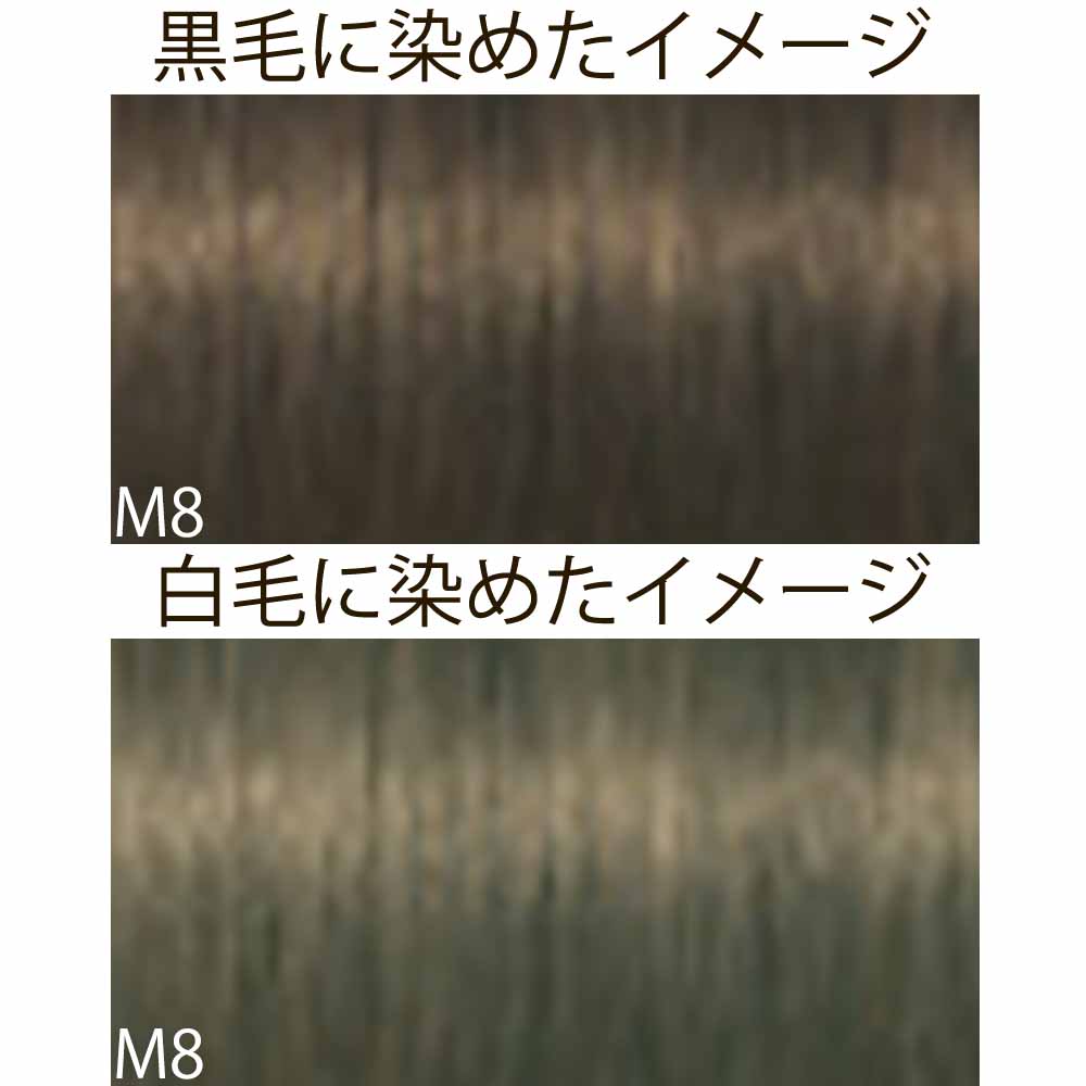 シュワルツコフ イゴラ ロイヤル ピクサム-F ブラウンと色味系シェード M マット 第1剤 / 80g | IGORA ROYAL | 02