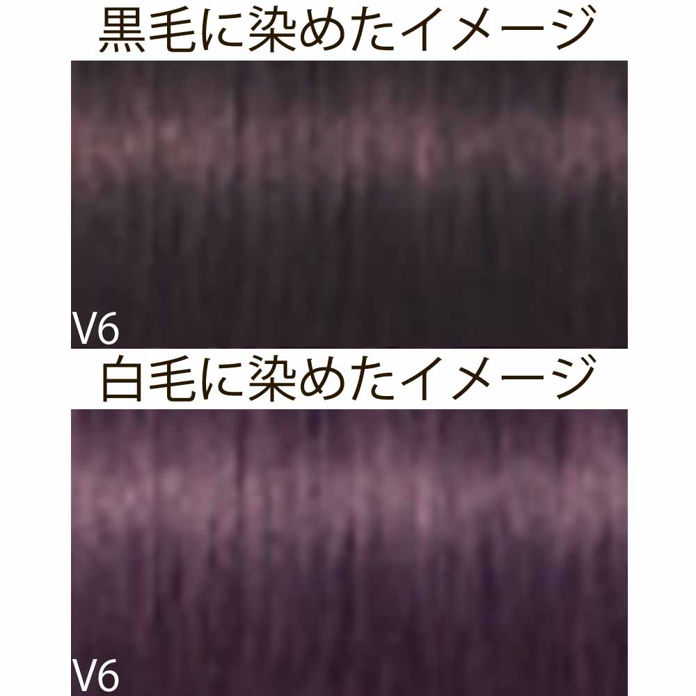 IGORA ROYAL シュワルツコフ イゴラ ロイヤル ピクサム-F