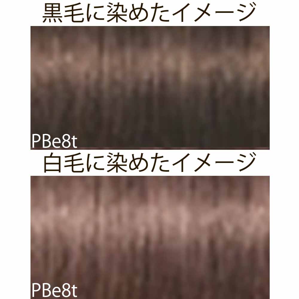 シュワルツコフ イゴラ ロイヤル ピクサム-F ティントシェード（微アルカリ） 第1剤 / 80g | IGORA ROYAL | 01