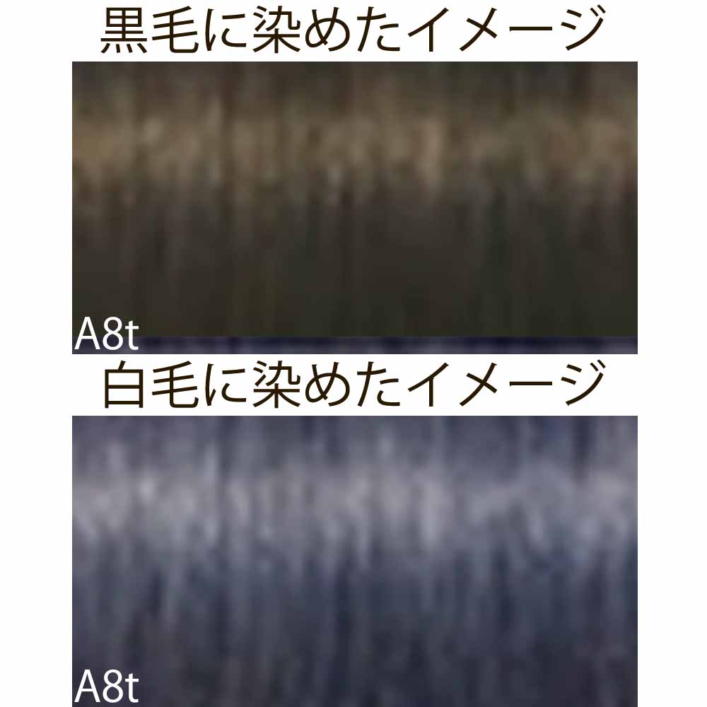 シュワルツコフ イゴラ ロイヤル ピクサム-F ティントシェード（微アルカリ） 第1剤 / 80g | IGORA ROYAL | 10