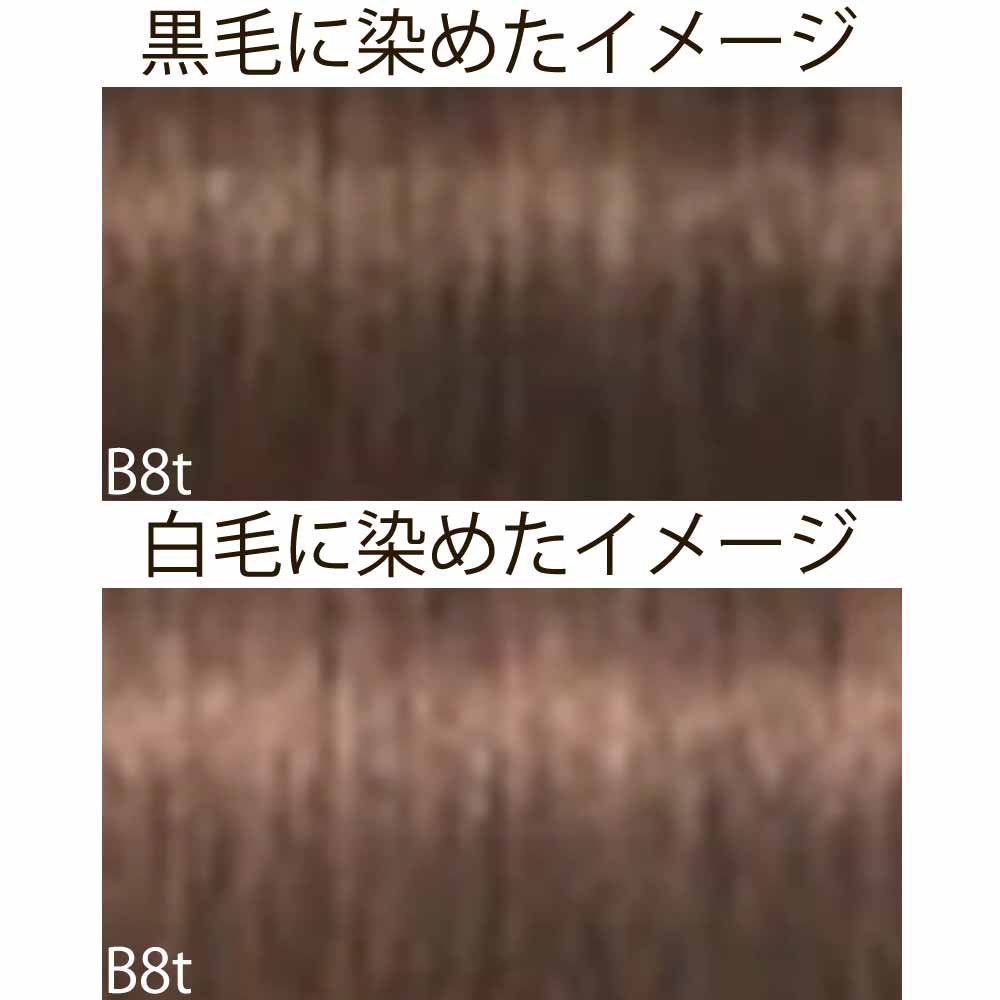 シュワルツコフ イゴラ ロイヤル ピクサム-F ティントシェード（微アルカリ） 第1剤 / 80g | IGORA ROYAL | 07