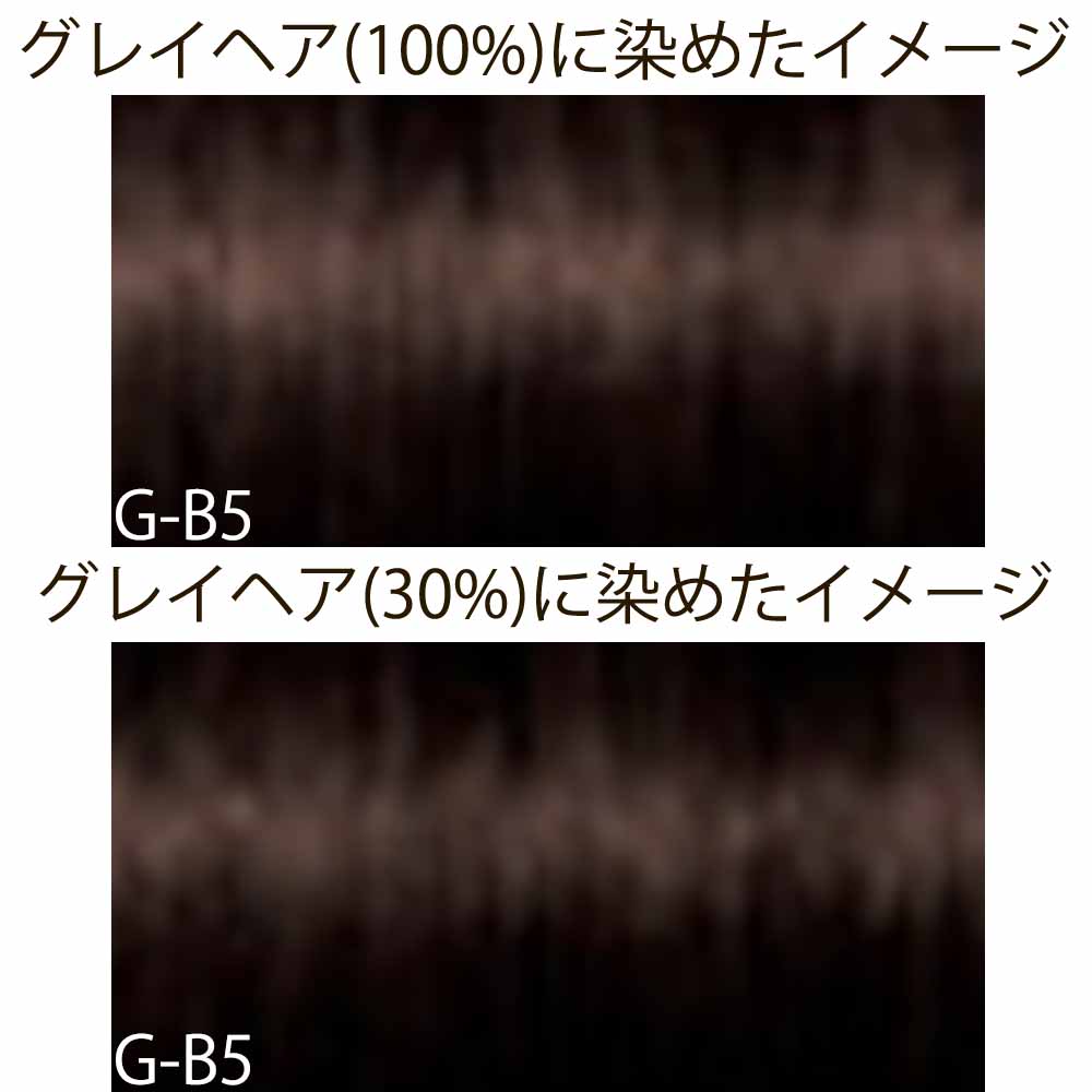 シュワルツコフ イゴラ ロイヤル ピクサム-G  グレイシェード B ブラウン 第1剤 / 80g | IGORA ROYAL | 02