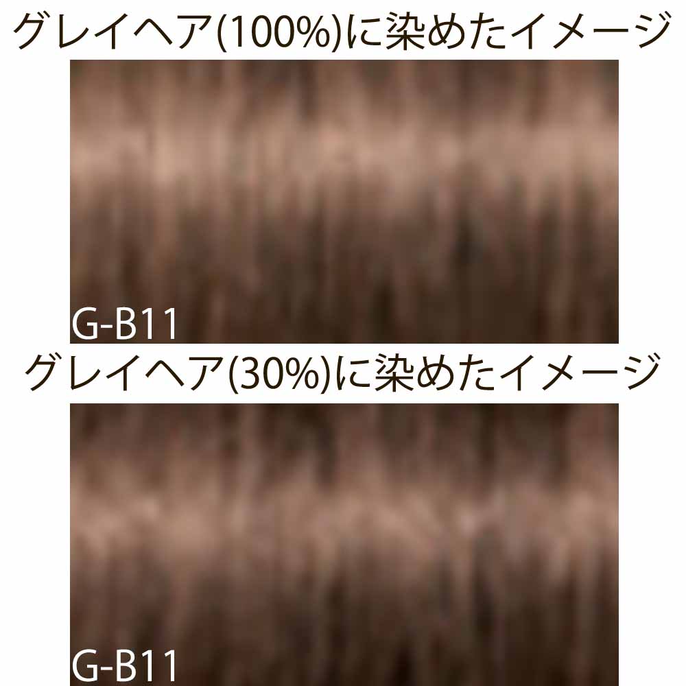 スーパーセール 50％（福袋 IGORA グレイ ピクサム-G ロイヤル イゴラ シュワルツコフ ROYAL カラーリング・白髪染め