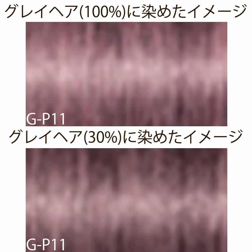 IGORA ROYAL シュワルツコフ イゴラ ロイヤル ピクサム-G グレイ