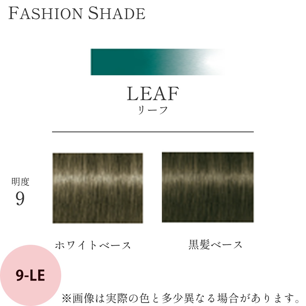 Schwarzkopf PROFESSIONAL（シュワルツコフ プロフェッショナル