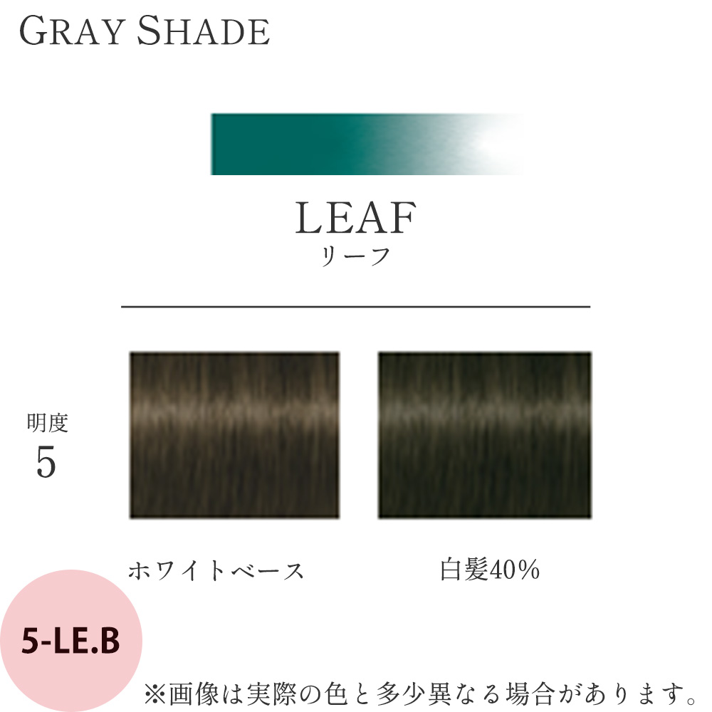 シュワルツコフ テラ byエッセンシティ グレイシェード 第1剤 リーフブラウン LE.B 85g ヘアカラー カラー剤 サロン業務用 アルカリ性カラー 美容師 プロ用 | Schwarzkopf PROFESSIONAL | 01