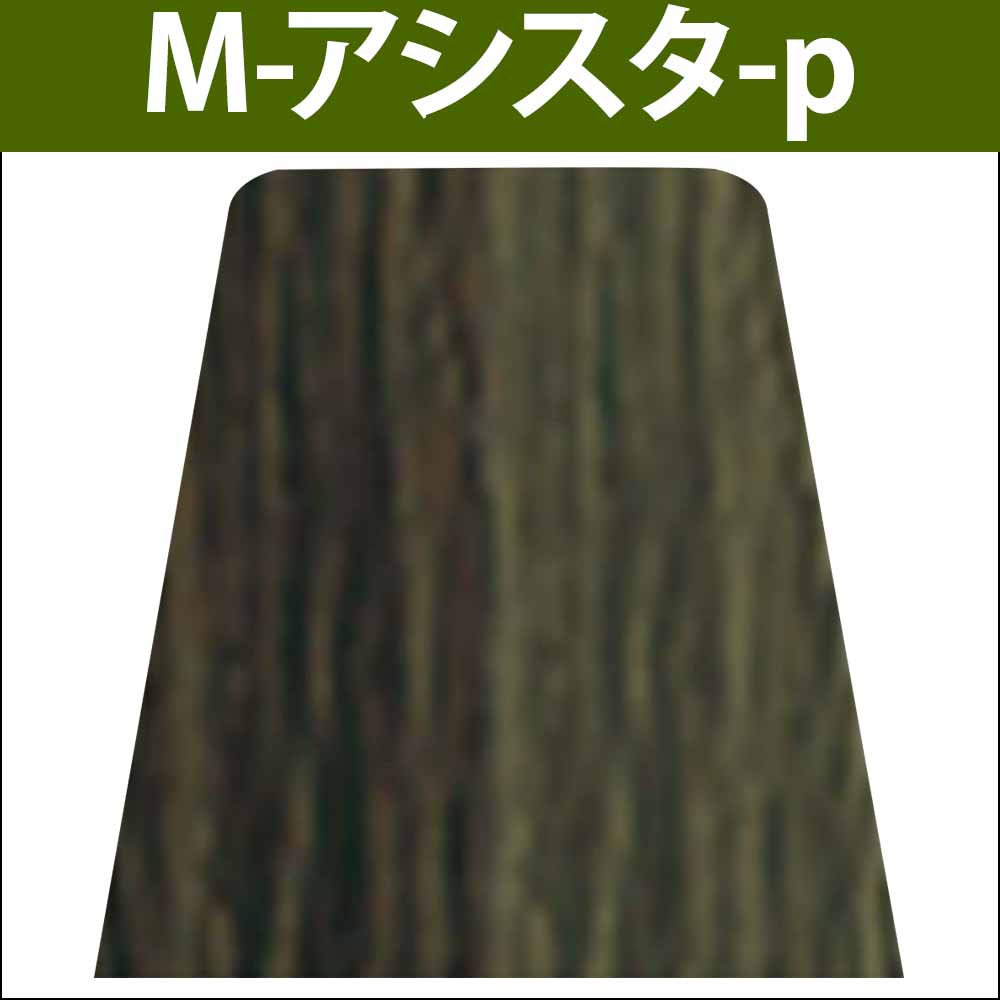 ナカノ キャラデコ パブェ アクティブゾーン M マット 第1剤 / 80g | caradeco | 05