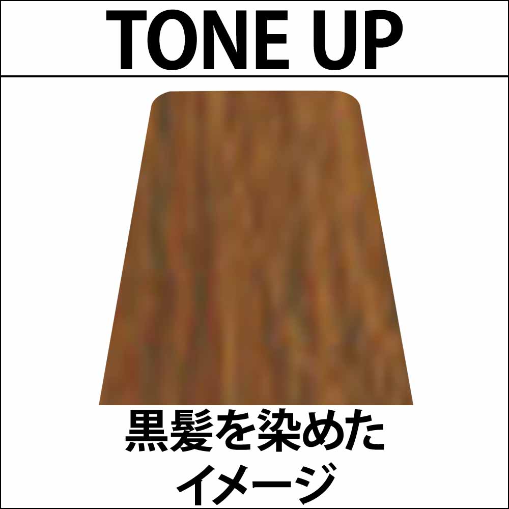 ナカノ キャラデコ パブェ ベーシックゾーン TONE UP 第1剤 / 80g | caradeco | 01