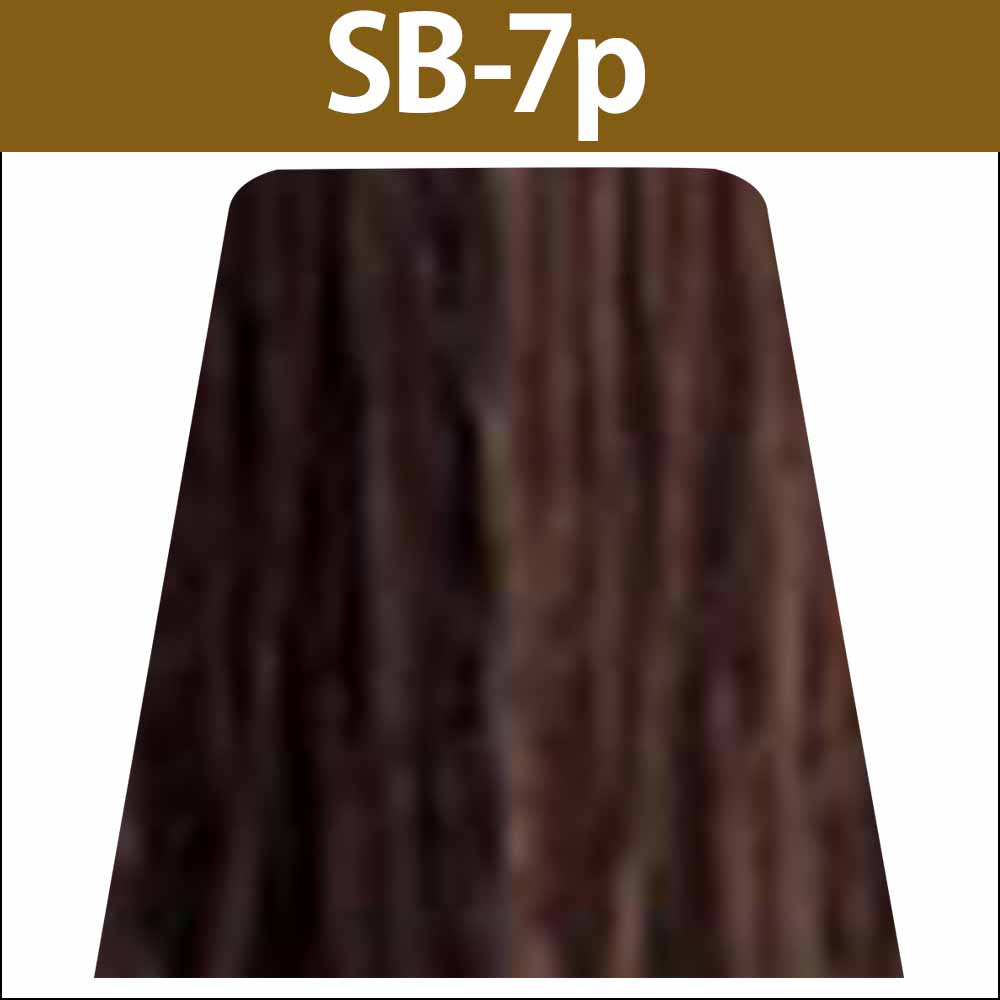 ナカノ キャラデコ パブェ ベーシックゾーン SB サンドブラウン 第1剤 / 80g | caradeco | 03