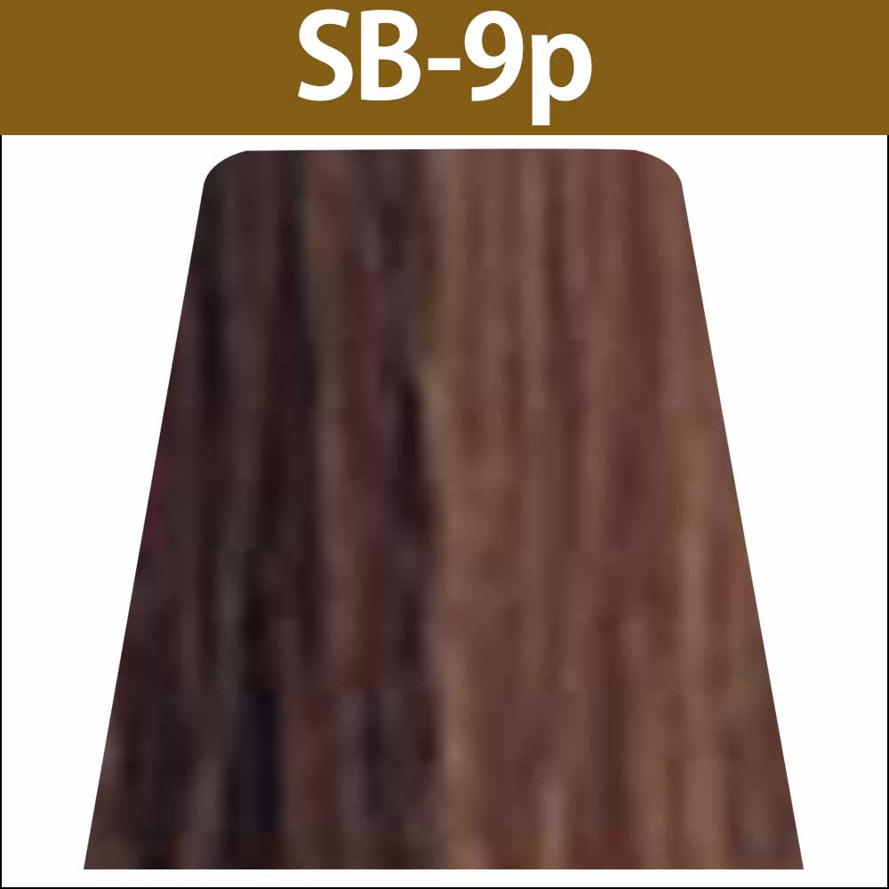 ナカノ キャラデコ パブェ ベーシックゾーン SB サンドブラウン 第1剤 / 80g | caradeco | 05