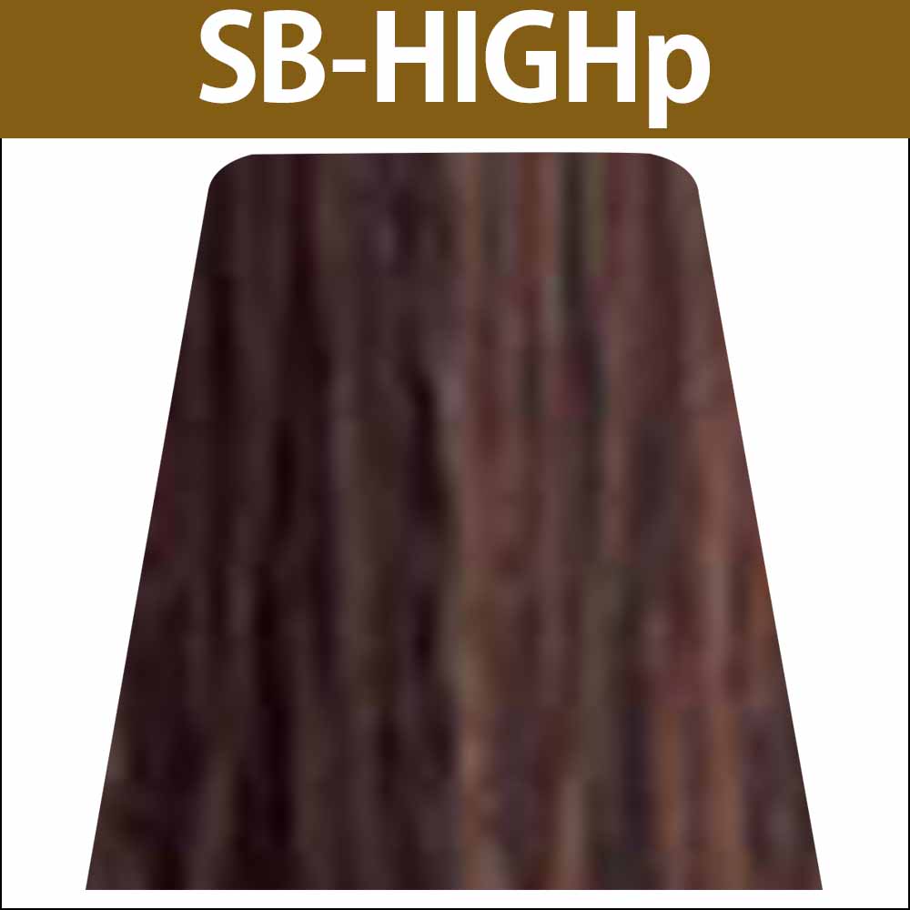 ナカノ キャラデコ パブェ ベーシックゾーン SB サンドブラウン 第1剤 / 80g | caradeco | 06