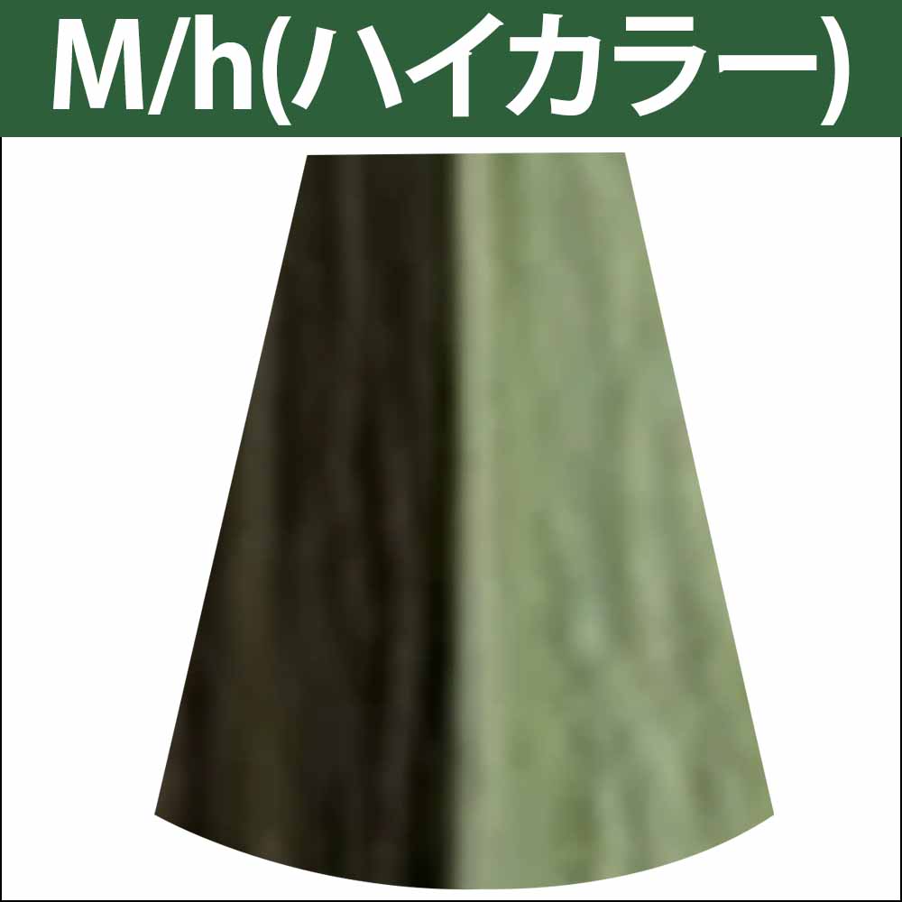 ナカノ キャラデコ （アルカリタイプ） ビビットカラー M マットV 第1剤 / 80g | caradeco | 06