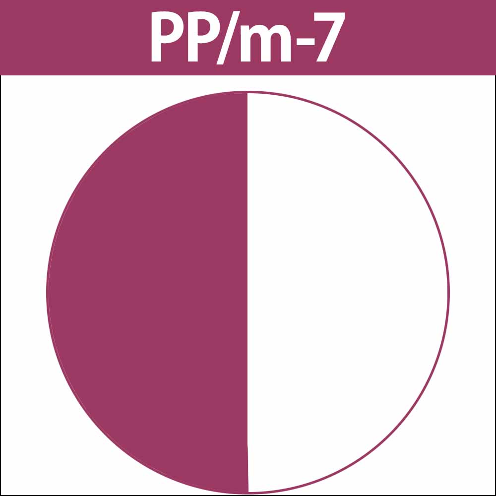 caradeco ナカノ キャラデコ （アルカリタイプ） モデレートカラー PP