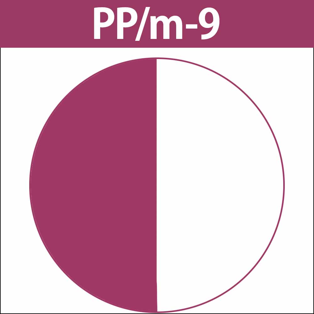 caradeco ナカノ キャラデコ （アルカリタイプ） モデレートカラー PP