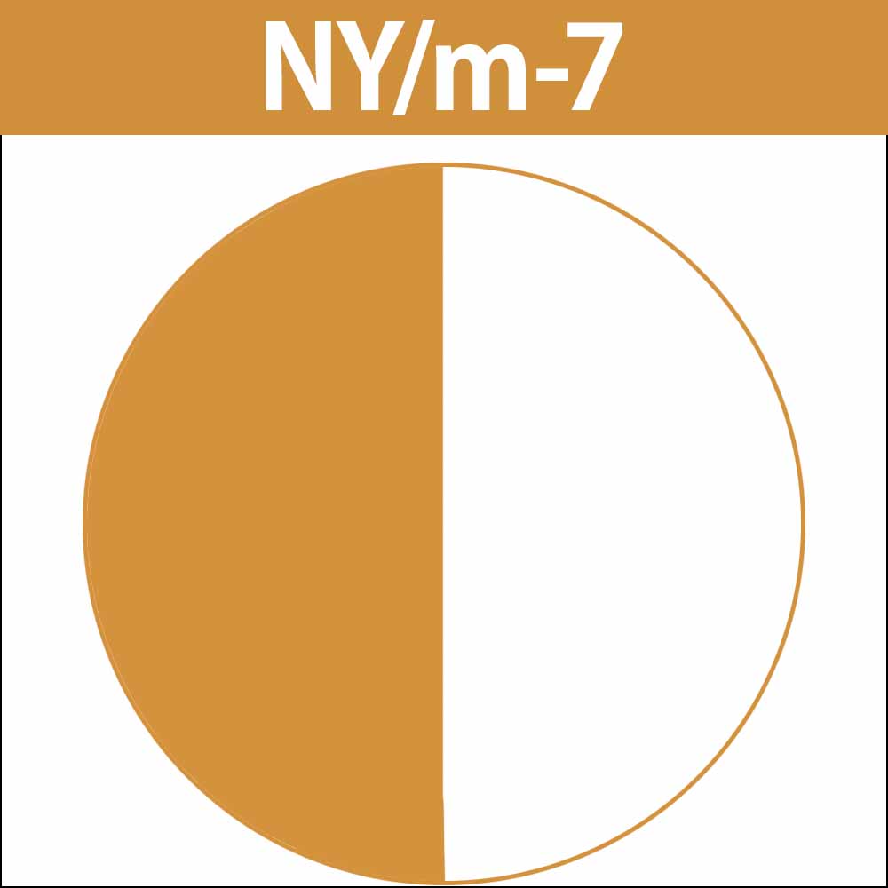 caradeco ナカノ キャラデコ （アルカリタイプ） モデレートカラー NY