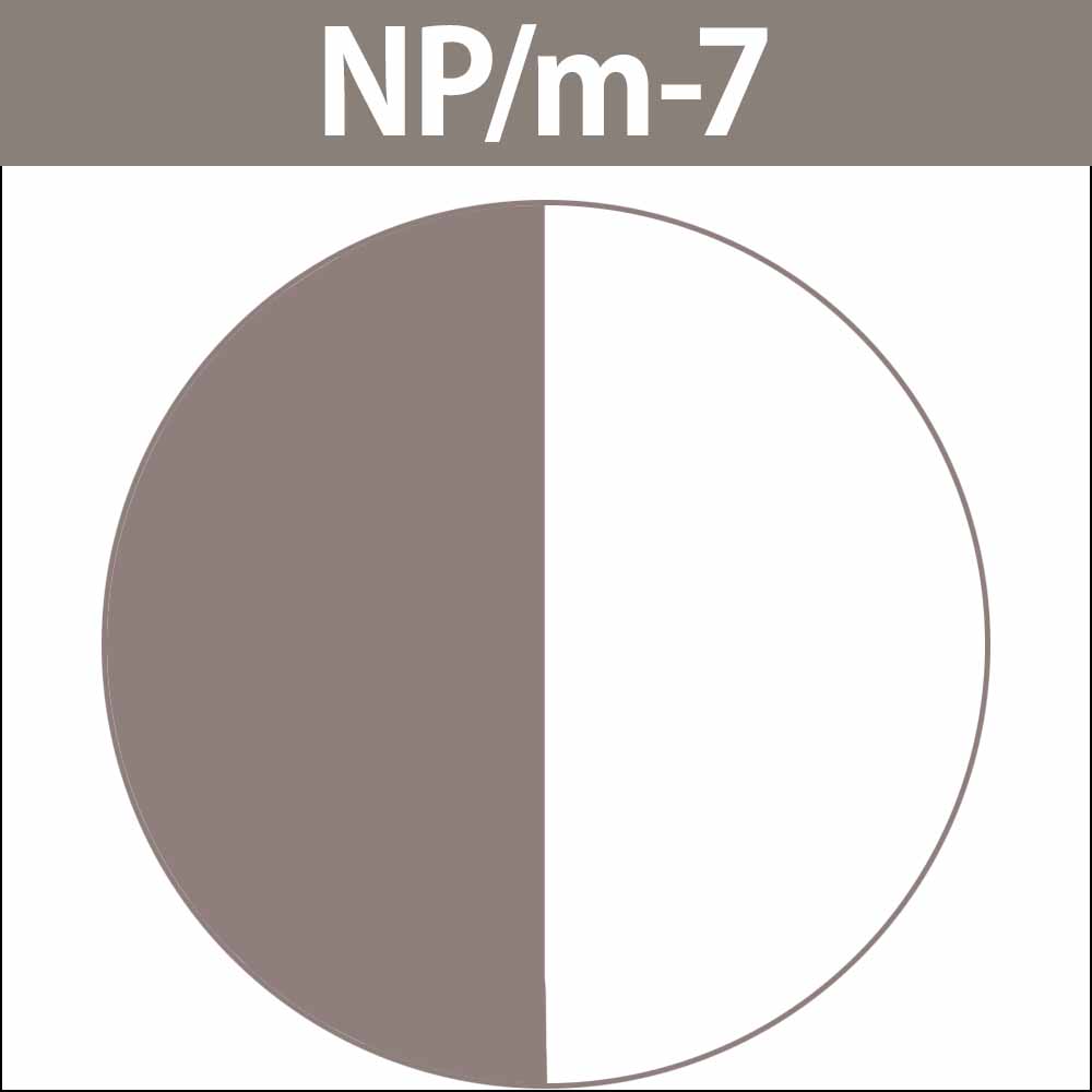 caradeco ナカノ キャラデコ （アルカリタイプ） モデレートカラー NP