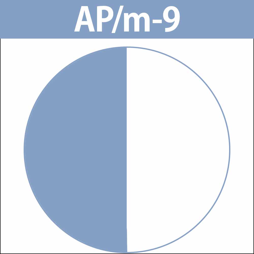 ナカノ キャラデコ （アルカリタイプ） モデレートカラー AP アッシュパールM 第1剤 / 80g | caradeco | 03