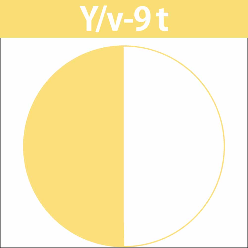 ナカノ キャラデコ （ティンタータイプ） ビビットカラー Y イエローV 第1剤 / 80g | caradeco | 02