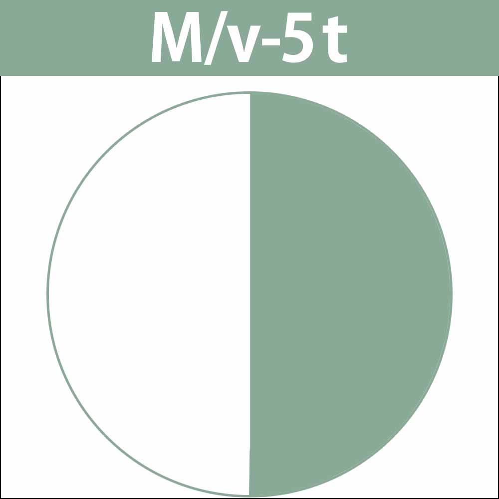 ナカノ キャラデコ （ティンタータイプ） ビビットカラー M マットV 第1剤 / 80g | caradeco | 01