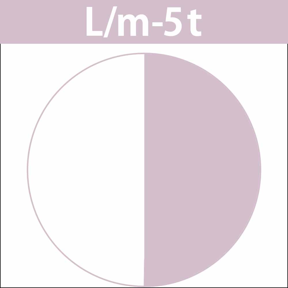 ナカノ キャラデコ （ティンタータイプ） モデレートカラー L ラベンダーM 第1剤 / 80g | caradeco | 01