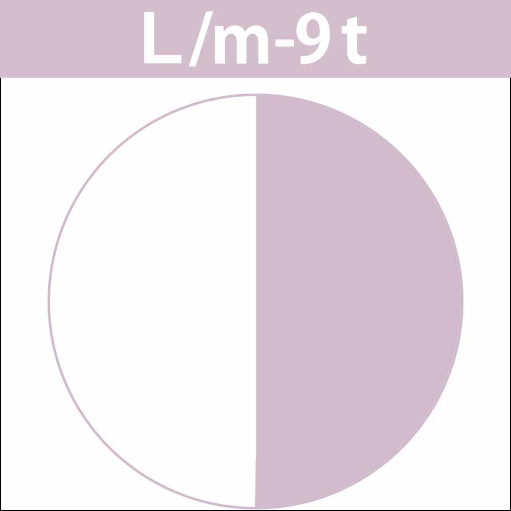 ナカノ キャラデコ （ティンタータイプ） モデレートカラー L ラベンダーM 第1剤 / 80g | caradeco | 03