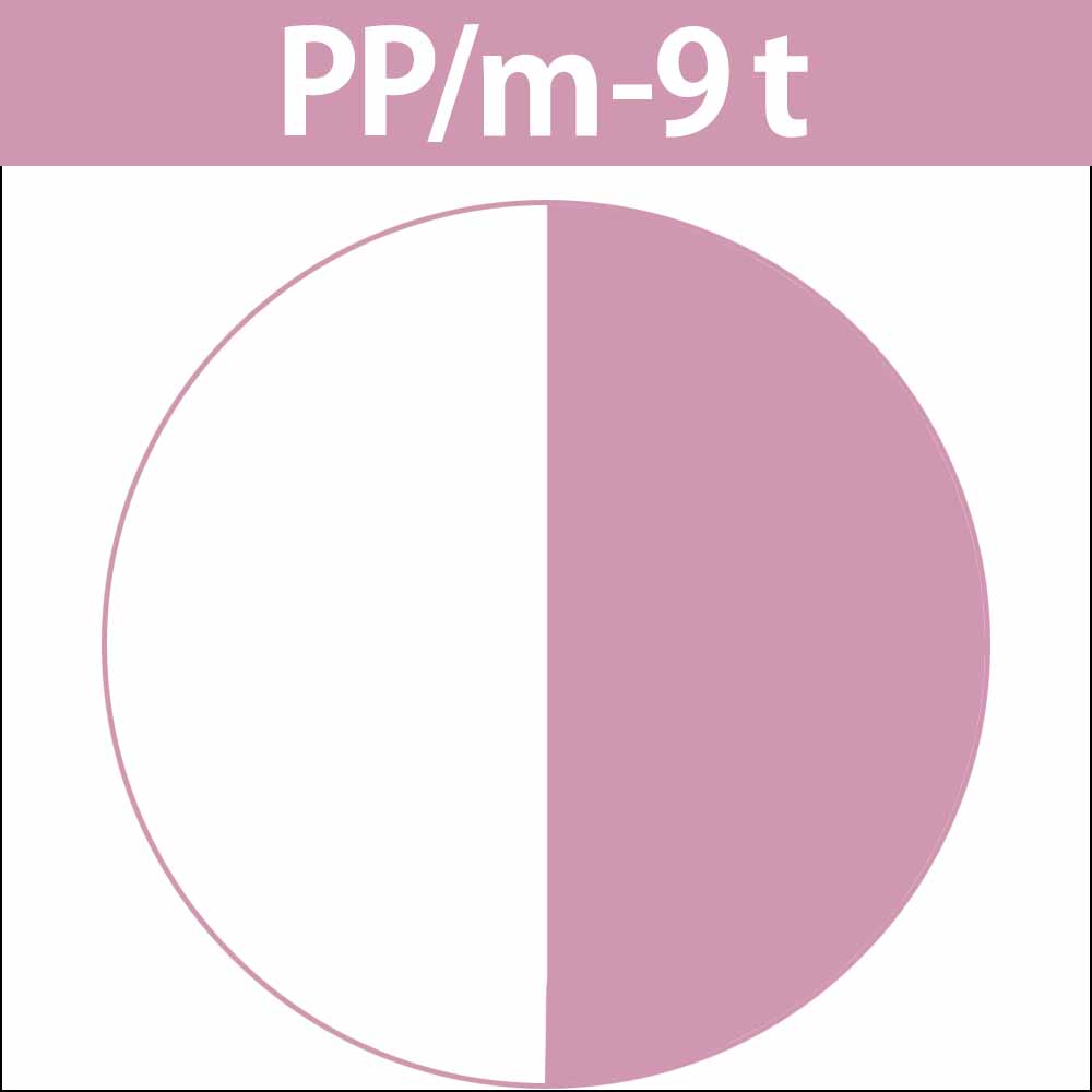 ナカノ キャラデコ （ティンタータイプ） モデレートカラー PP パステルピンクM  第1剤 / 80g | caradeco | 02