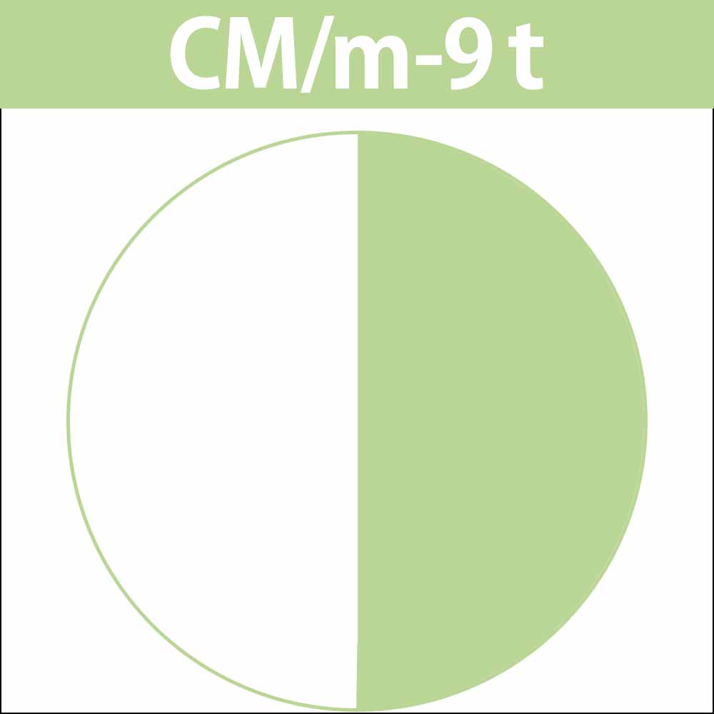 ナカノ キャラデコ （ティンタータイプ） モデレートカラー CM シフォンマットM 第1剤 / 80g | caradeco | 02