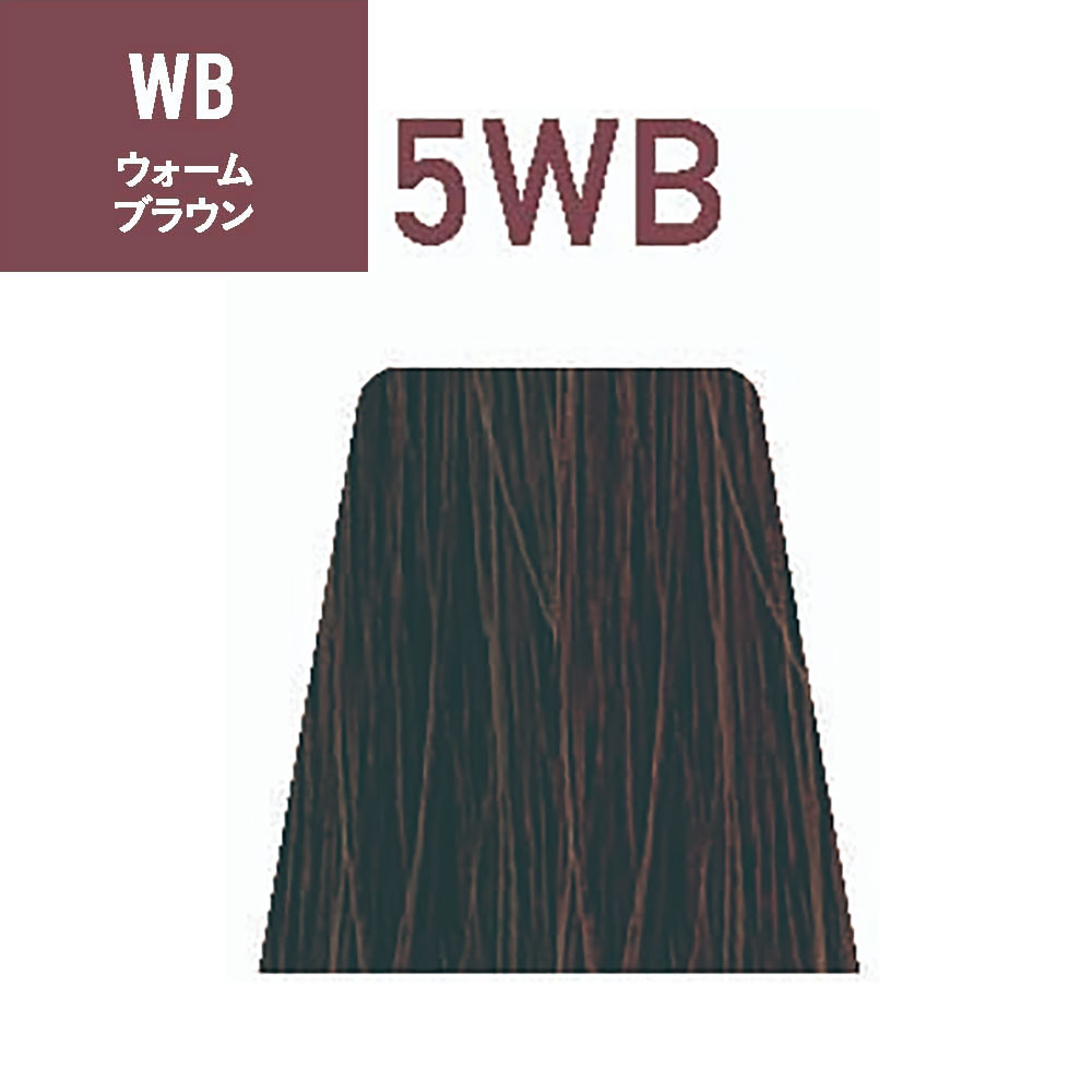 ナカノ サスティノ 第1剤 WB（ウォームブラウン） 80g ヘアカラー 白髪染め グレイカラー 低刺激 サロン業務用 染毛剤 プロ用 美容師 SUSTINO | サスティノ | 01
