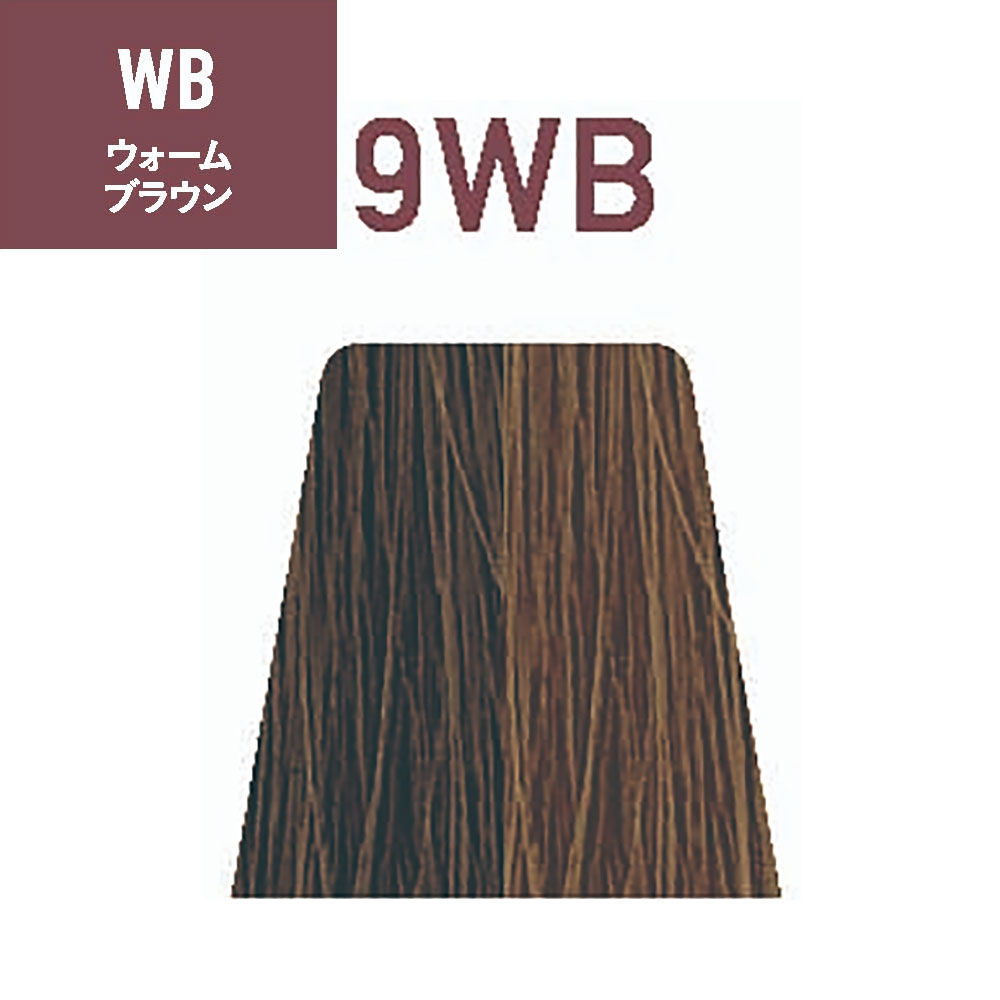 ナカノ サスティノ 第1剤 WB（ウォームブラウン） 80g ヘアカラー 白髪染め グレイカラー 低刺激 サロン業務用 染毛剤 プロ用 美容師 SUSTINO | サスティノ | 05