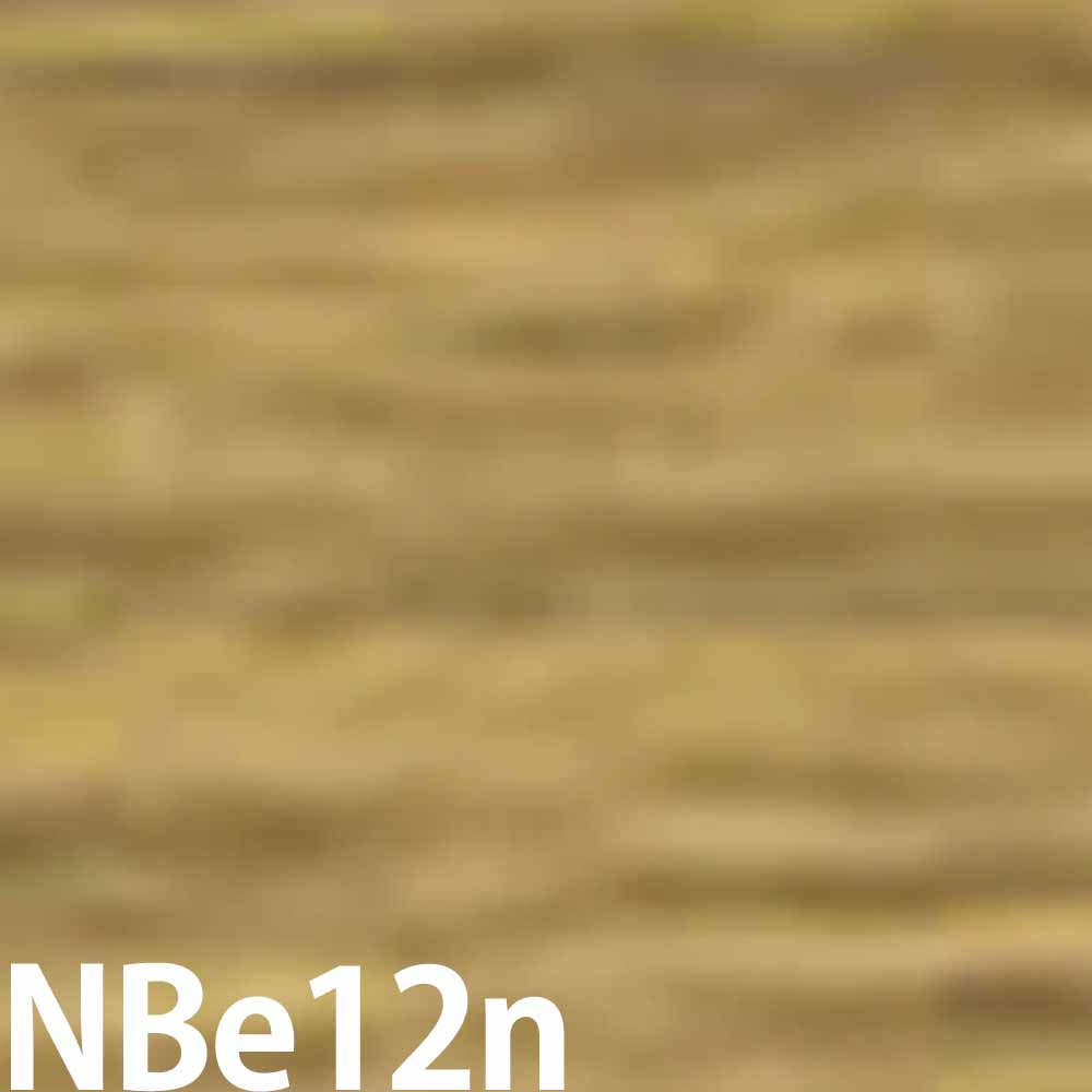 資生堂プロフェッショナル プリミエンス エンリッチ NBe ナチュラルベージュ 第1剤 / 80g｜netsbee｜08