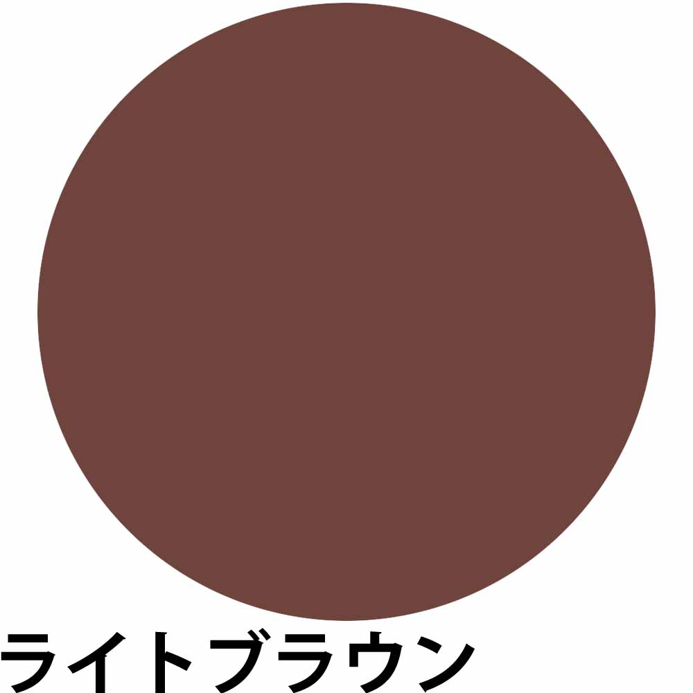 白髪かくし 生え際用 ポイント用 イリヤ 彩 ヘアファンデーション 13g 白髪染め 白髪 隠し ファンデーション セルフ カラー ブラック ブラウン IRIYA メール便 | IRIYA COSMETICS | 04