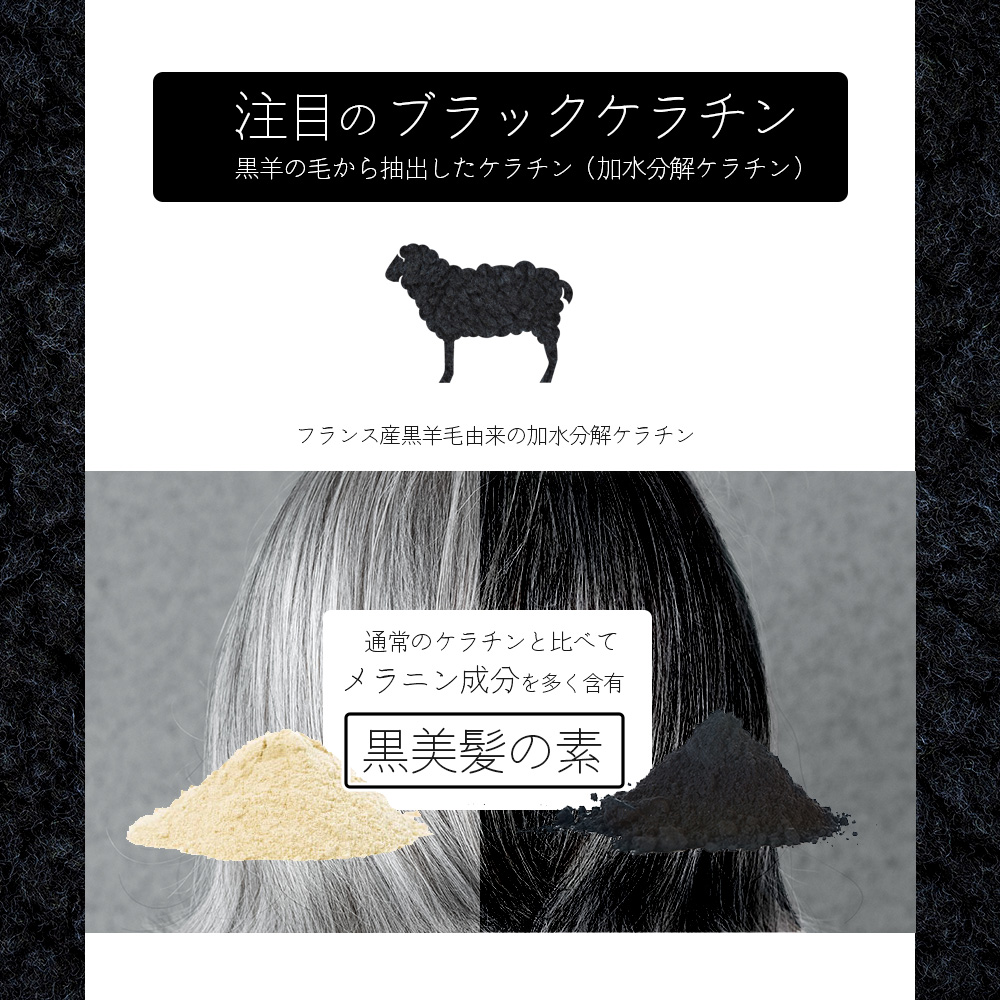 アーバンクラフト イーズ ザ ブラック シャンプー / 300mL : プロ用