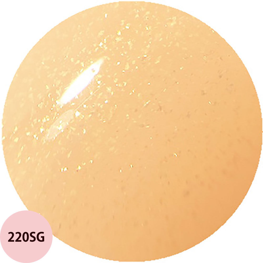 ジェルグラフ カラージェル （219SG〜259SG） / 5g （定形外 対応
